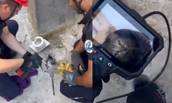 Eskişehir’de Gider Borusuna Düşen Minik Kedi İçin Ekipler Harekete Geçti!