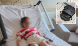 Kreşte Fare Zehiri İddiası! 5 Yaşındaki Çocuk Hastanelik Oldu!