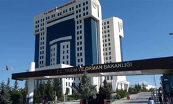 Tarım ve Orman Bakanlığı Personel Alımı Detayları Belli Oldu