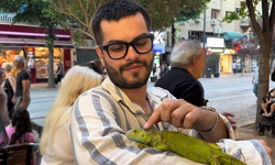 Eskişehir'de Sokakta İguana Görenler Dönüp Bir Daha Baktı!