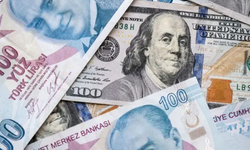 1 Eylül Döviz Fiyatları Rekor Seviyelerden İşlem Görüyor!