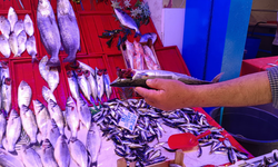Eskişehir’de Balık Sezonu Bereketli Başladı! Kilosu 150 Liraya Kadar Düştü!