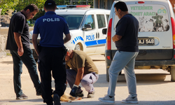 Kan Donduran Olay! Sokak Köpeği Silahla Vurularak Katledildi!