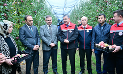 Eskişehir Valisi Yılmaz: Bu Yıl 5 Bin Ton Üretim Bekleniyor!
