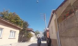 Eskişehir'de Elektrik Tellerinde Çözülemeyen 5 Yıllık Bot Gizemi!