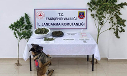 Eskişehir’de Evden Çıkanlar Pes Dedirtti! Jandarmadan Kritik Operasyon!