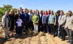 Eskişehir’in 820 Yıllık Selçuklu Köyünde Bağ Bozumu Heyecanı!