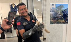 Eskişehir'de Minik Canların İmdadına İtfaiye Yetişti!