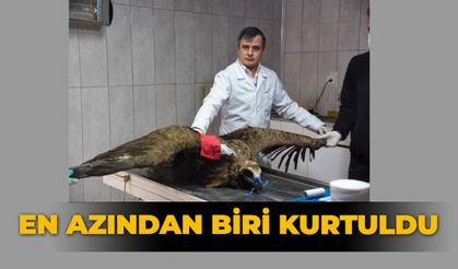 En azından biri kurtuldu