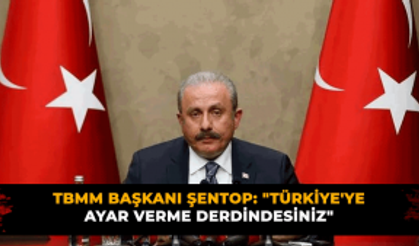 TBMM Başkanı Şentop: "Türkiye'ye ayar verme derdindesiniz"