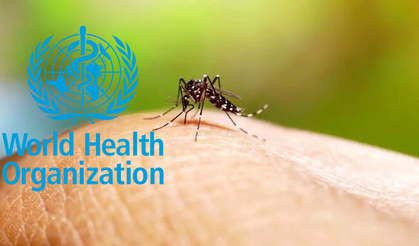 Dünya Sağlık Örgütü’nden Yeni Sivrisinek Salgını Uyarısı