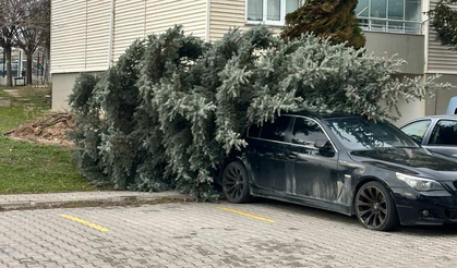 Eskişehir’de Fırtına Sonrası Hasar Gün Yüzüne Çıktı!