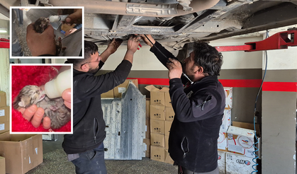 Eskişehir’de Yürek Isıtan Dostluk! Araçta Sıkışan Yavru Kediye Yuva Oldu!