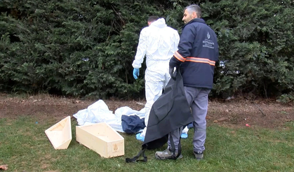 Yeşil Alanda Beze Sarılı Cansız Bebek Bulundu