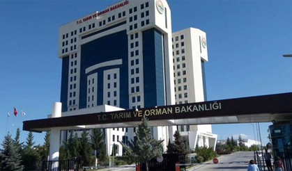 Tarım ve Orman Bakanlığı Personel Alımı Detayları Belli Oldu
