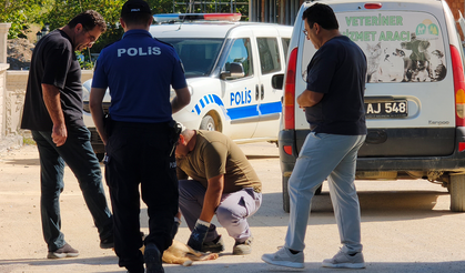 Kan Donduran Olay! Sokak Köpeği Silahla Vurularak Katledildi!
