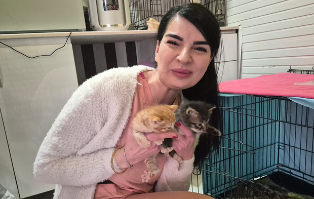 Eskişehir’de Yürek Isıtan Anlar! Hamile Kedi Kliniğe Sığındı