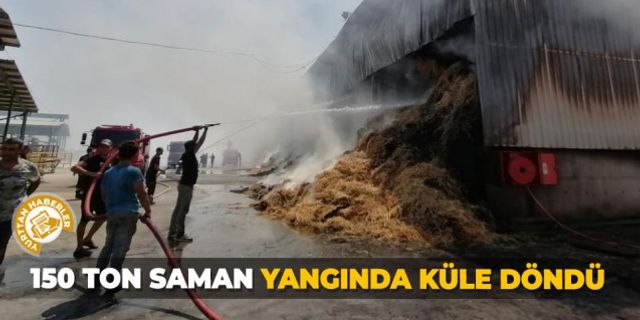 Manisa’da 150 ton saman yangında küle döndü