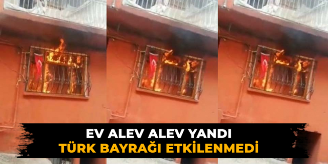 Alevlerin Türk bayrağı hassasiyeti