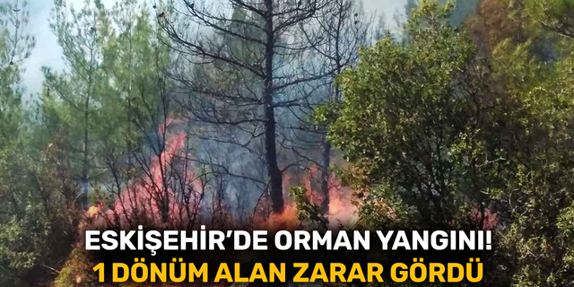 Eskişehir’de orman yangını! 1 dönüm alan zarar gördü