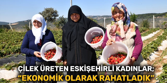 Çilek üreten Eskişehirli kadınlar: “Ekonomik olarak rahatladık”