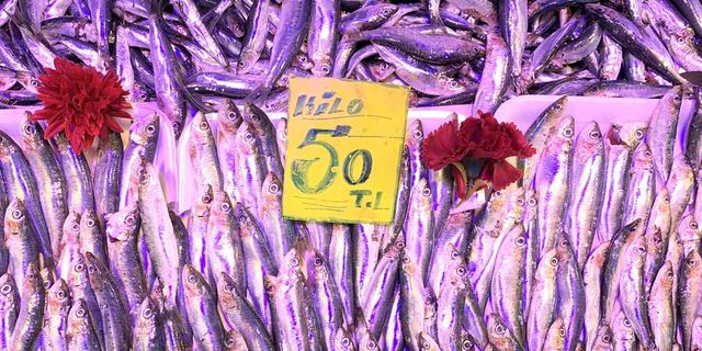 Eskişehir'de 50 liradan ucuza balık yok!