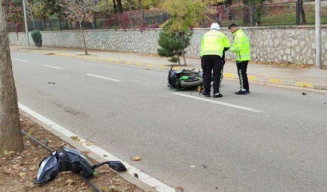 Ağaca çarpan motosiklet sürücüsü hayatını kaybetti!