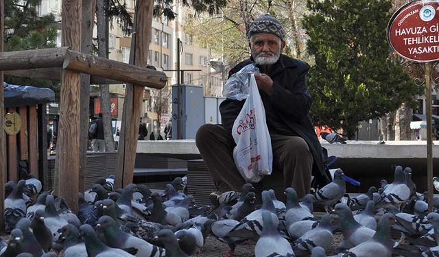 Eskişehir'de yıllardır büyük bir özenle sokaktaki kuşları besliyor!