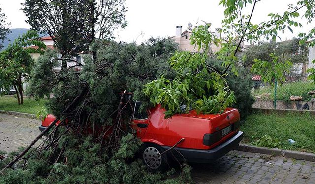 Şiddetli fırtınada devrilen ağaç aracın üstüne düştü!