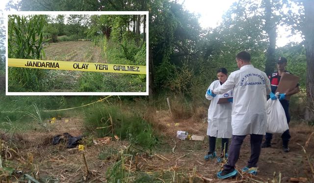 Tarlada Korkunç Sır! Kafatası ve Kemikler Bulundu