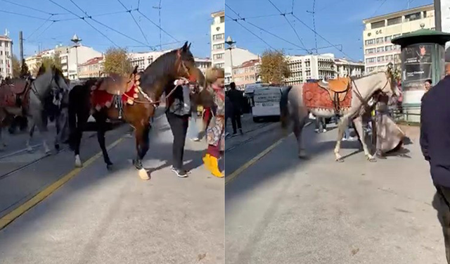 Eskişehir'de İlginç Görüntü! Atlar Şehir Merkezinde Tur Attı