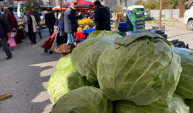 Eskişehir’de Pazardaki 11 Kiloluk Dev Lahanalar İlgi Görüyor