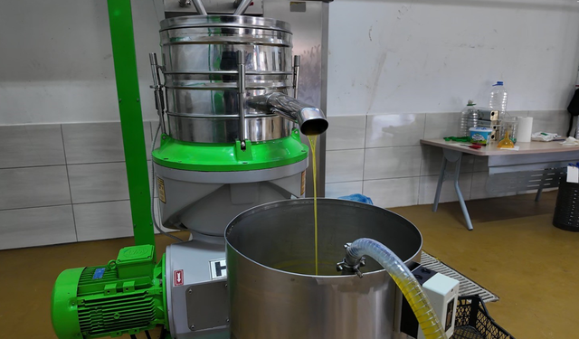 Eskişehir’de Üretilen Bu Zeytinyağı Lezzetiyle Öne Çıkıyor!