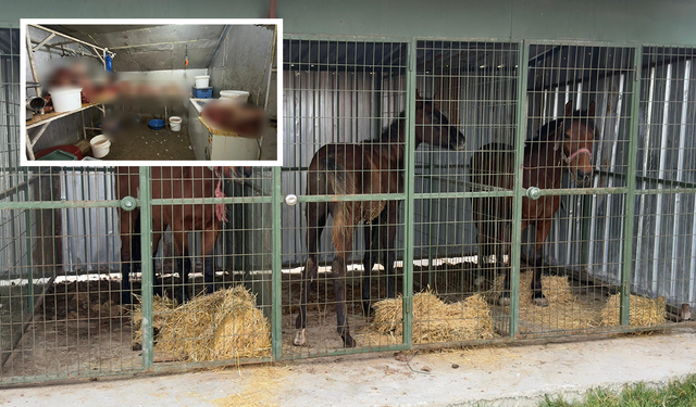 Eskişehir’de Kaçak Et Baskını! 215 Kg At Eti Ele Geçirildi!