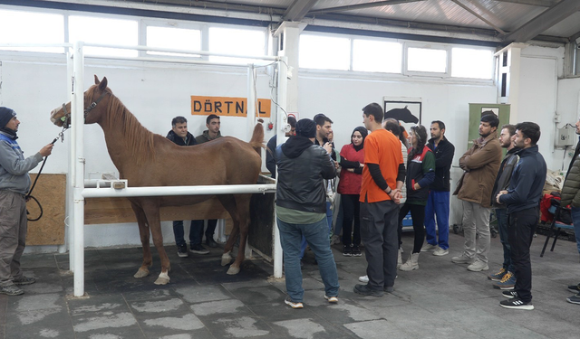 Eskişehir’de Kısraklarda Suni Tohumlama Eğitimi Yapıldı!
