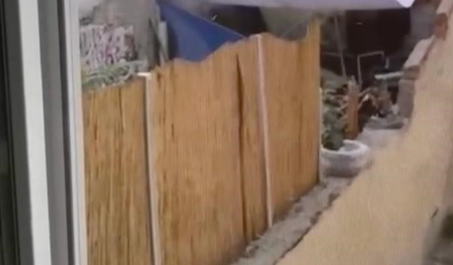 Eskişehir’de Köpeğe Eziyet Eden Şahıs Yakalandı!