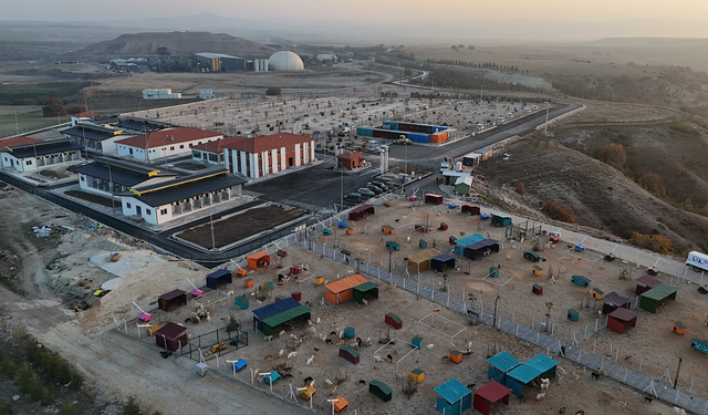 Eskişehir’deki Dev Doğal Yaşam Alanının 2. Etabı Tamamlandı!