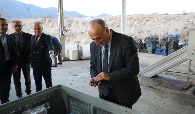 Eskişehir’in Akdeniz’i Zeytin Üretimiyle Öne Çıkıyor!