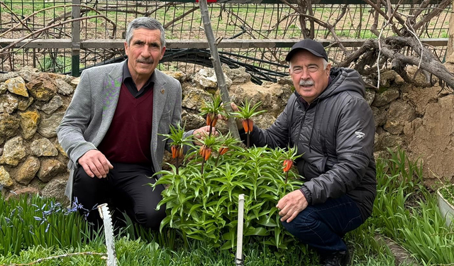 Eskişehir’de Bu Çiçeği Koparana 700 Bin TL Ceza