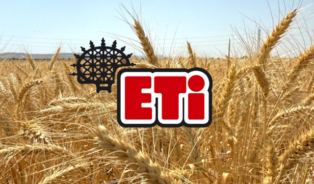 ETİ’den Kurak İklime Dayanıklı Yerli Buğday Hamlesi!