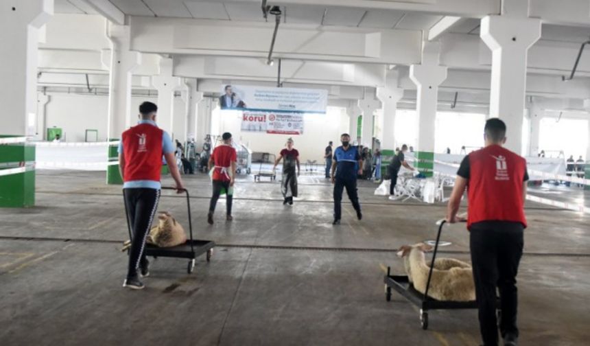 Çamlıca Kapalı Pazar Yeri, belediye ekipleri tarafından koronavirüs ile mücadele kapsamında düzenlenerek kurban kesimi için hazır hale getirildi.
