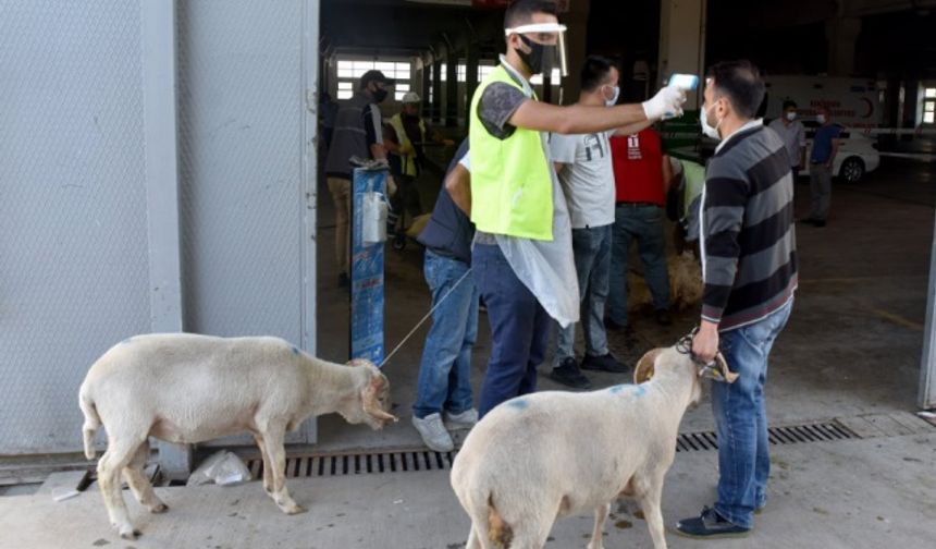 Küçükbaş kurbanlıkları ile kesim alanına gelen vatandaşlar, ücretsiz kesim hizmetinden faydalanarak kurban ibadetlerini gerçekleştirdi.