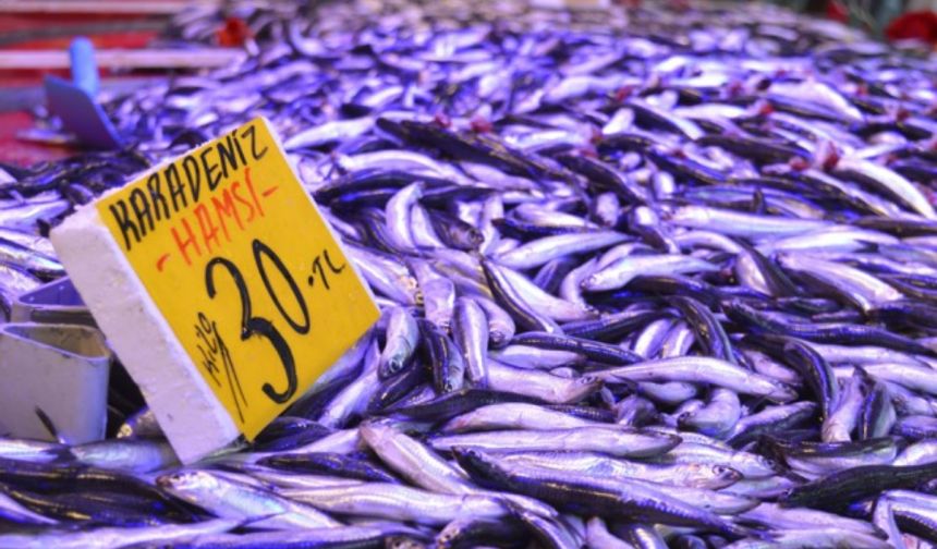 Eskişehir’de geçtiğimiz hafta hamsi fiyatlarının 50 liraya kadar yükseldiği gözlemlenmişti. Daha sonra iniş yaşanan hamsi 20 liraya kadar düşerken, bugün yeniden 30 liraya çıktı. Son kaç gündür denizden hamsinin az çıkması nedeniyle fiyatlarda yükseliş yaşanan hamsi, genellikle bu yıl balıkçıların beklentilerini de karşılamadığı belirtiliyor. Yüksek fiyatı, vatandaşlarını da balık tezgâhlarından uzaklaştırmasının ardından piyasaya durgunluk meydana geldi.