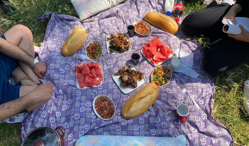Piknikte ekmeği böldüklerinde hayatlarının şokunu yaşadılar