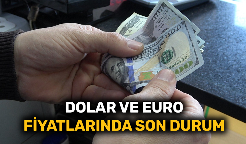 Dolar ve Euro fiyatlarında son durum (9 Ağustos 2022)