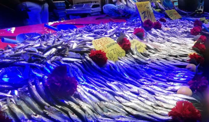 Pazartesi gününden itibaren 50 liraya düşmesi beklenen hamsinin fiyatı 30 liraya kadar düştü. Geçtiğimiz haftalarda 80 liraya kadar çıkan hamsinin ucuzlaması vatandaşın ve balıkçının yüzünü güldürdü.