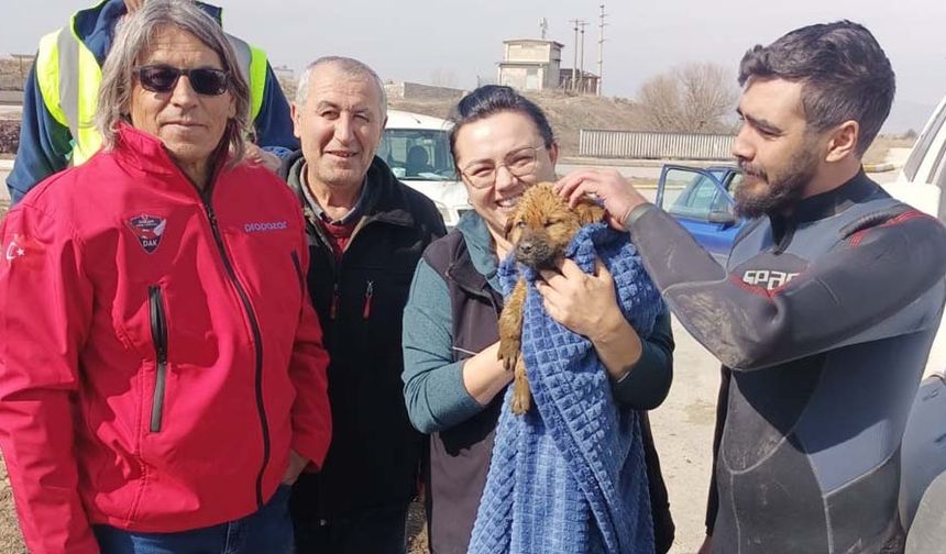 Eskişehir'de kanala düşen yavru köpek için seferber oldular