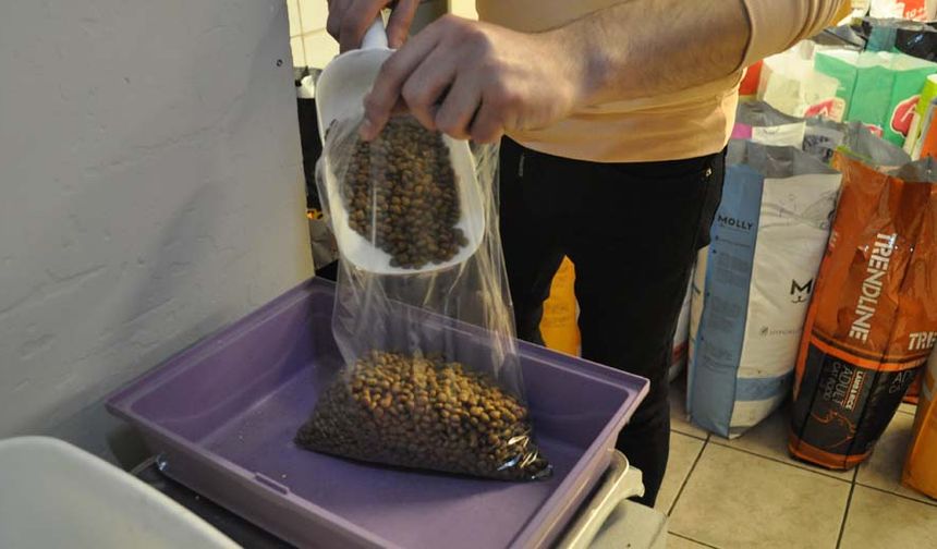Son yıllarda kedi mamalarında yaşanan fiyat artışı nedeniyle vatandaşlar ucuz mamalara yöneldi. Petshopçu esnafı ise ucuz mamaların kalitesiz olduğuna ve hayvan sağlığına zarar verdiğine dikkat çekti.