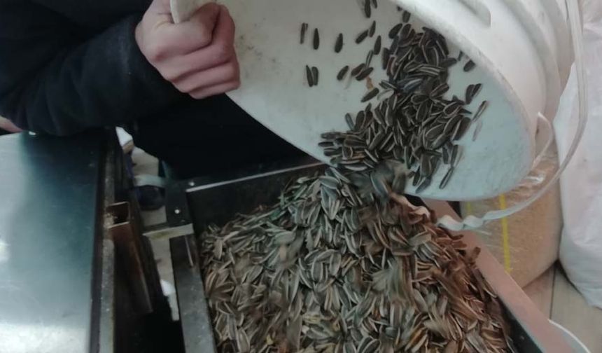 Sokağın başından itibaren hissedilebilen koku esnafın dükkâna müşteri çekmesine yardımcı oluyor. Yoldan geçerken kokuyu duyan vatandaşlar, kuruyemiş dükkânına girerek yayılan kokunun neye ait olduğunu sorup çekirdek almadan geçmiyor.