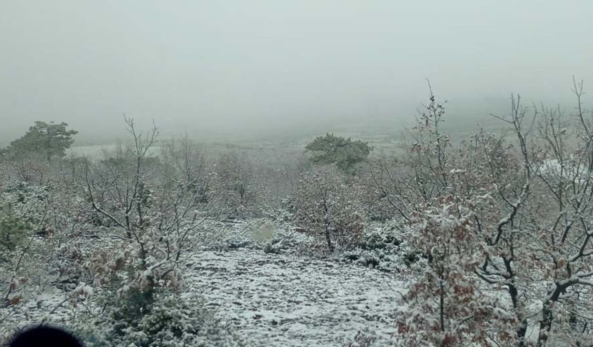 Eskişehir'in bazı ilçelerinde kar yağışı etkili olmaya başladı